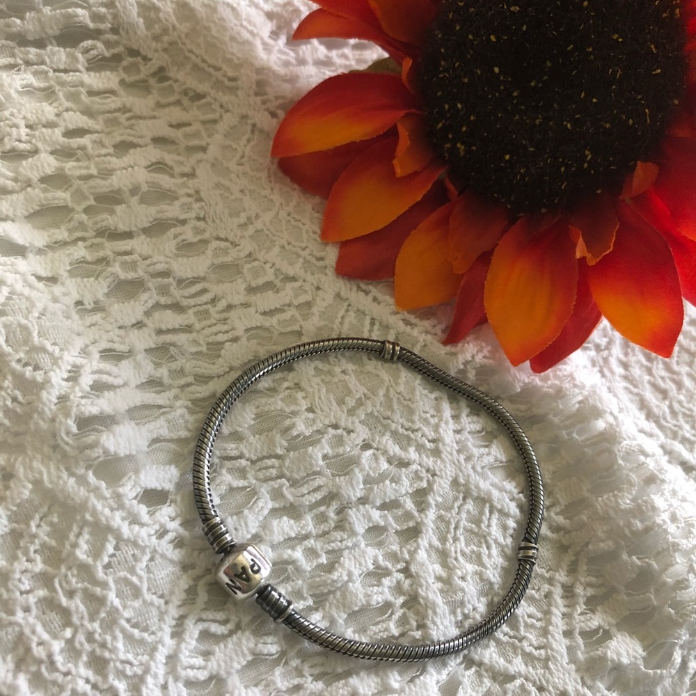 Authentic Pandora Oxidized silver charm bracelet